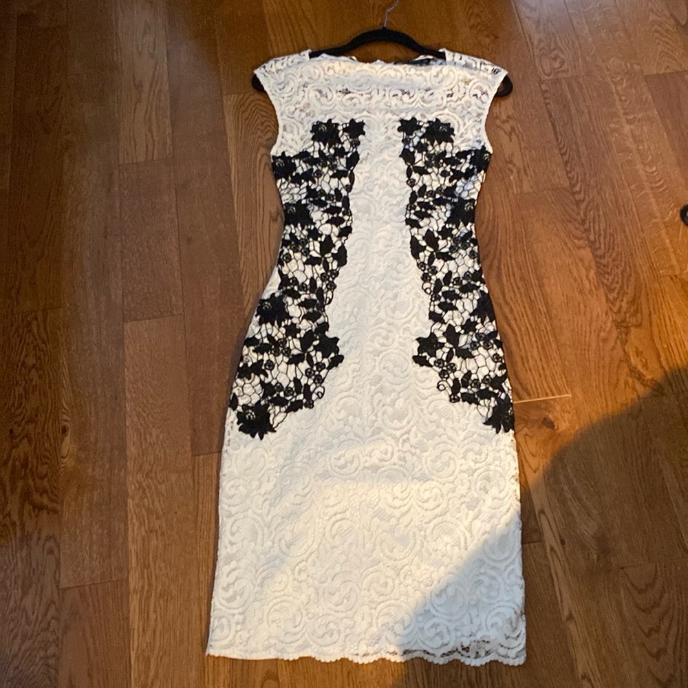 Zara Lined Lace Dress